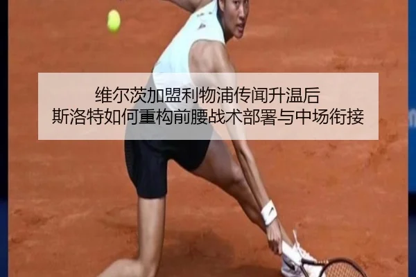 wei-er-ci-jia-meng-li-wu-pu-chuan-wen-sheng-wen-hou-si-luo-te-ru-he-zhong-gou-qian-yao-zhan-shu-bu-shu-yu-zhong-chang-2-548.jpg