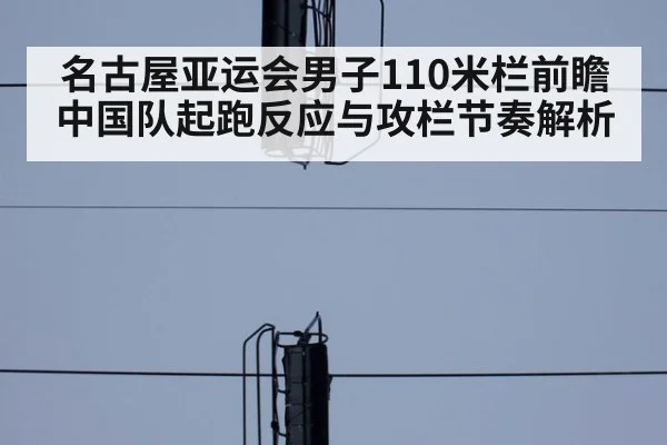 名古屋亚运会男子110米栏前瞻 中国队起跑反应与攻栏节奏解析（j9 game）